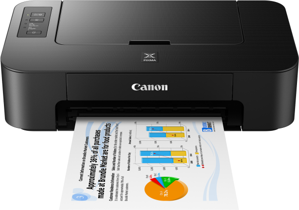 Canon PIXMA MG2570S – Compact All-in-One Inkjet Printer | Print/Scan/Copy | 4800x600 DPI | 8ipm Black