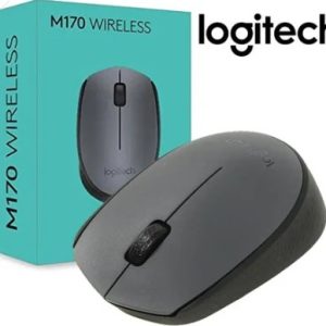 M170 Wrls Mouse Logitech 10 Months Warranty