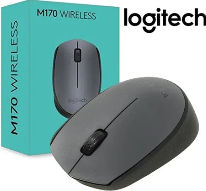 M170 Wrls Mouse Logitech 10 Months Warranty